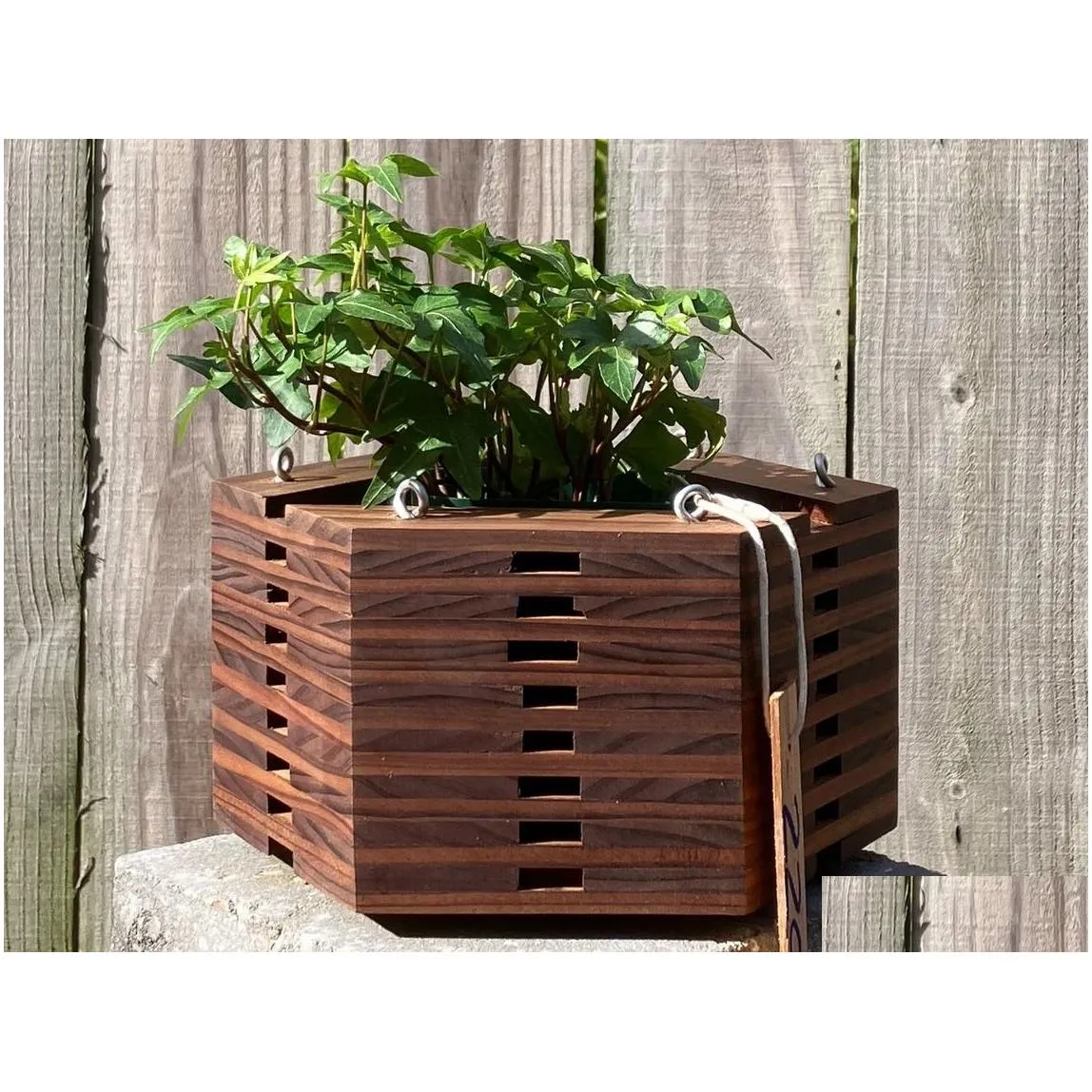 salvaged wood hanging basket planter for orchids bromeliads other epiphytes and succulents