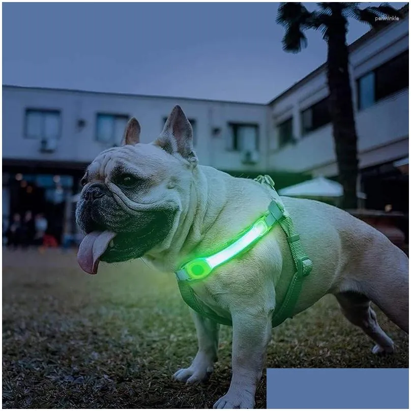 Dog Collars & Leashes Dog Collars Anti Lost Safety Glowing Collar Waterproof Warning Led Flashing Light Strip Tag Pet Harness Arnes Pa Dhlmg