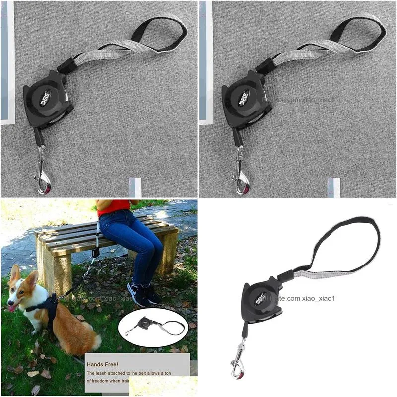 dog collars pet training leash automatic retractable lead traction rope puppy
