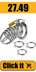 Chastity Device