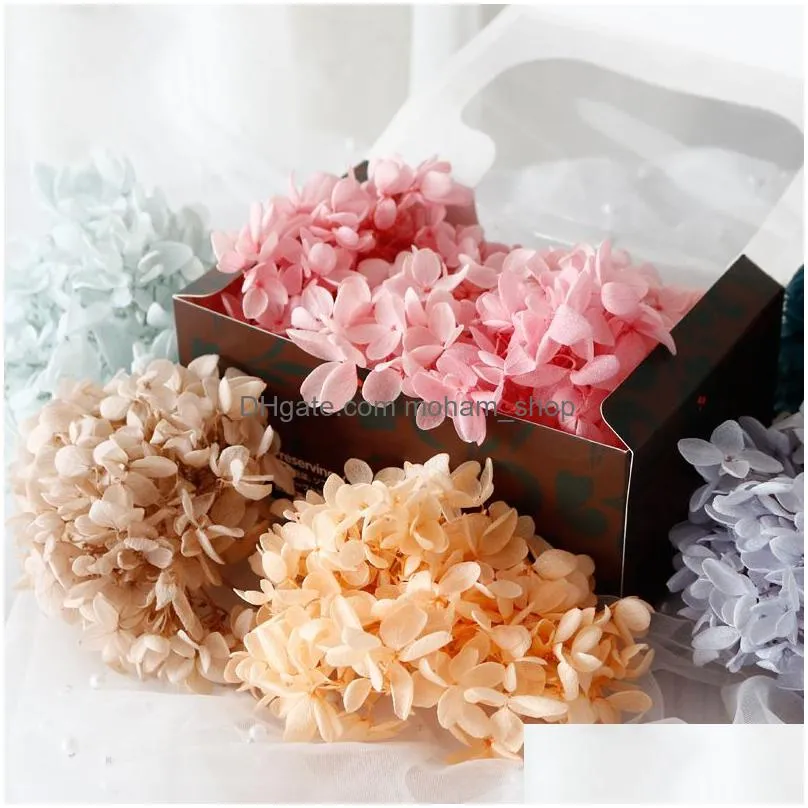 20g/box natural dried hydrangea flower eternal flower preserved flower diy material wedding party home decor gift box decoration