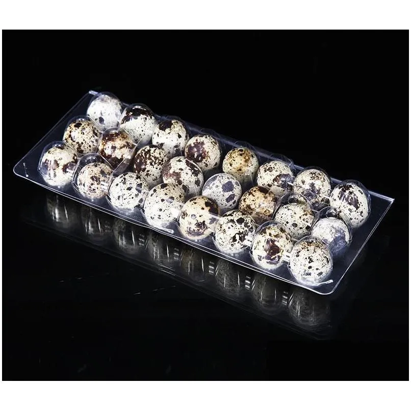 wholesale 24 holes quail egg containers plastic egg boxes 1000pcslotpersonal care