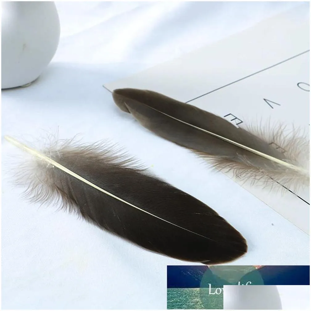 holesale 10 rare natural  feathers 40-45 cm/16-18 decoration celebration performance accessories inches jewelry diy st u0p1