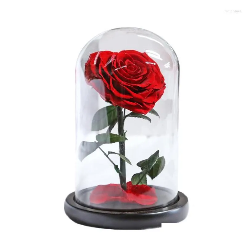 decorative flowers dried rose red in a glass dome on black base for valentines day gifts eternal flower christmas decor home