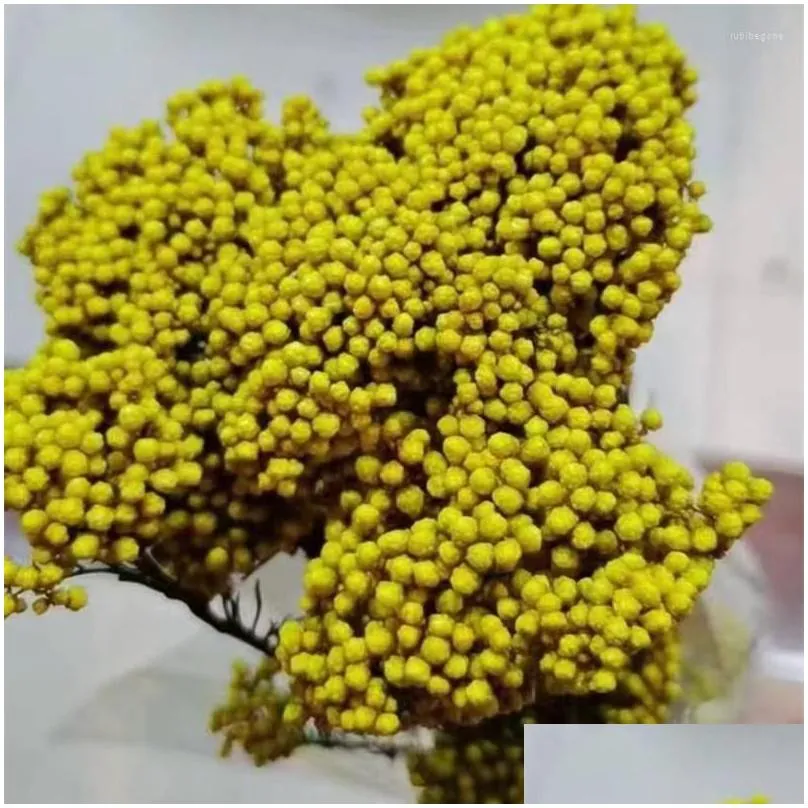 decorative flowers 50g natural millet fruit dried flower garden decoration outdoor wedding centerpieces for tables gift guest pampas
