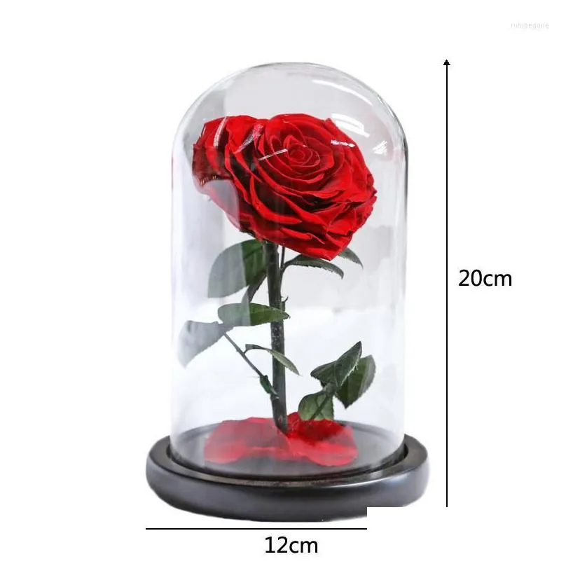 decorative flowers dried rose red in a glass dome on black base for valentines day gifts eternal flower christmas decor home