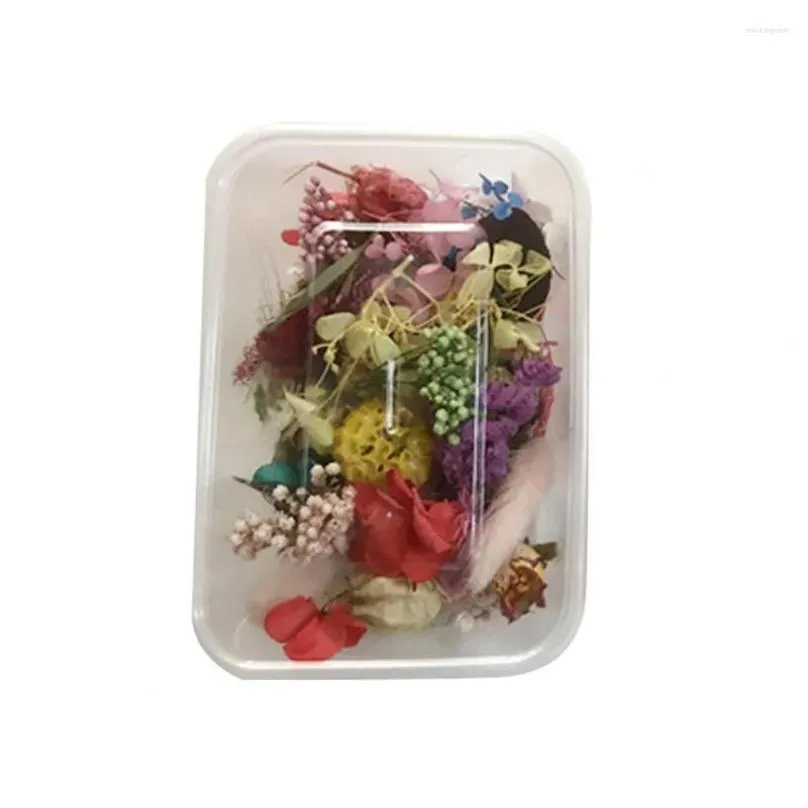 decorative flowers dried flower 1box muliticolor preserved random color multicolor for scrapbooks