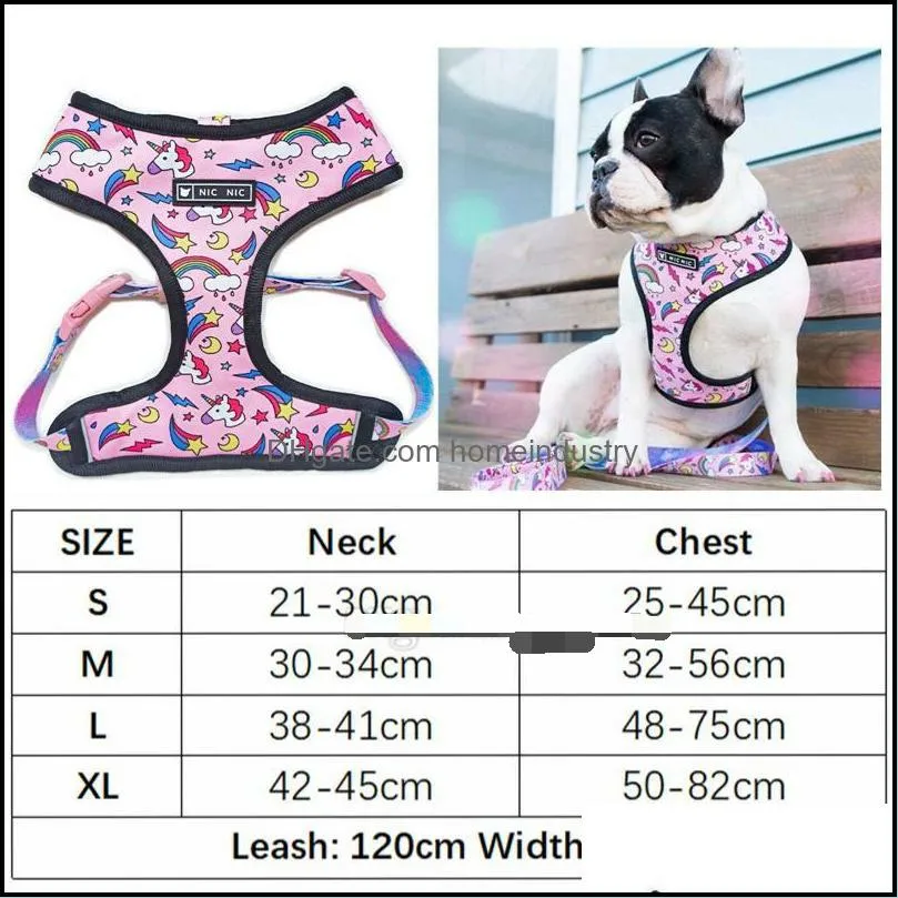 Dog Harness and Leashes set Soft Air Mesh Adjustable Dogs Harnesses Cute Printed Step-in Harness with Neck Padded for Small Medium Breeds Dazzle Color