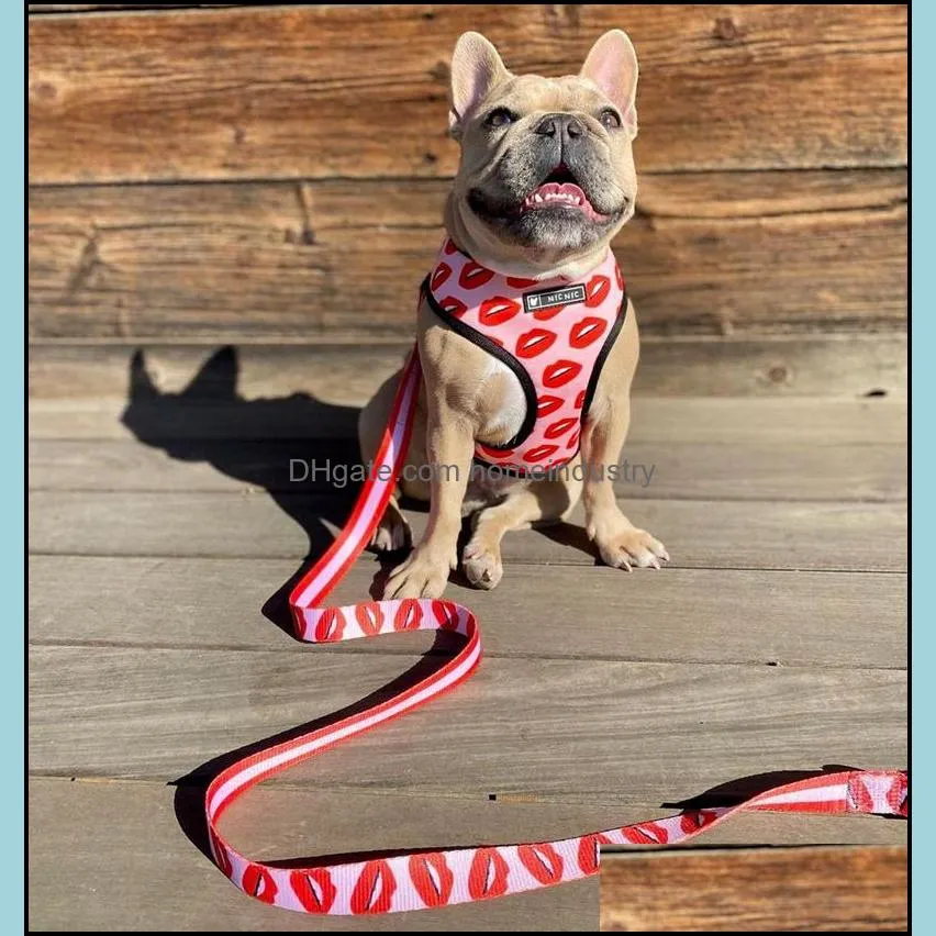 No Pull Dog Harness Red Lips Printed Dog Harnesses and Leashes Set Breathable Mesh Padded Puppy Vest Collars for Small Medium Dogs Outdoor Walking Training