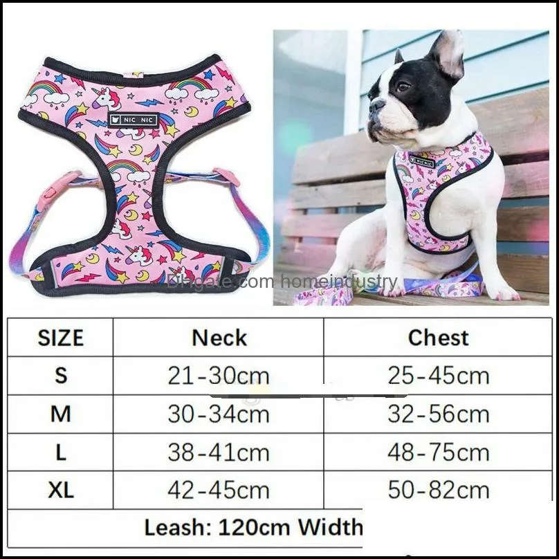 Dog Vest Harness Soft Air Mesh Adjustable Dogs Harnesses and Leashes set Cute Printed Step-in Harness with Neck Padded for Small Medium Breeds