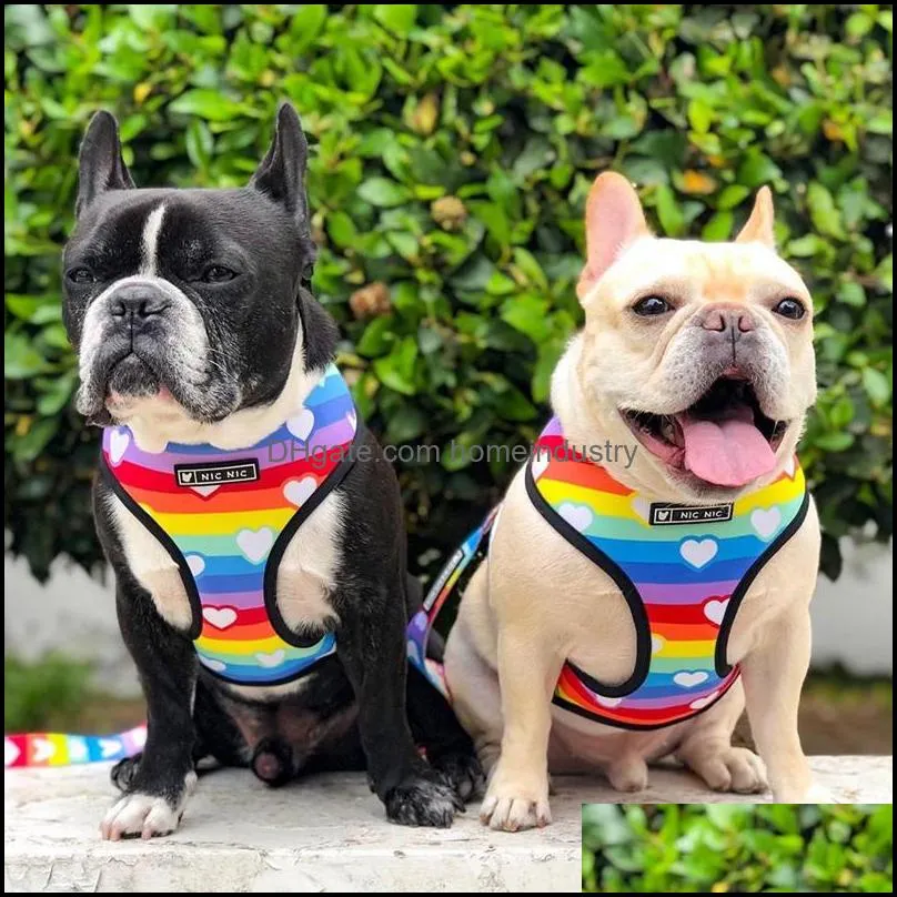 Dog Vest Harness No Pull Rainbow Printed Dog Harnesses and Leashes Set Breathable Mesh Padded Puppy Collars for Small Medium Dogs Outdoor Walking Training