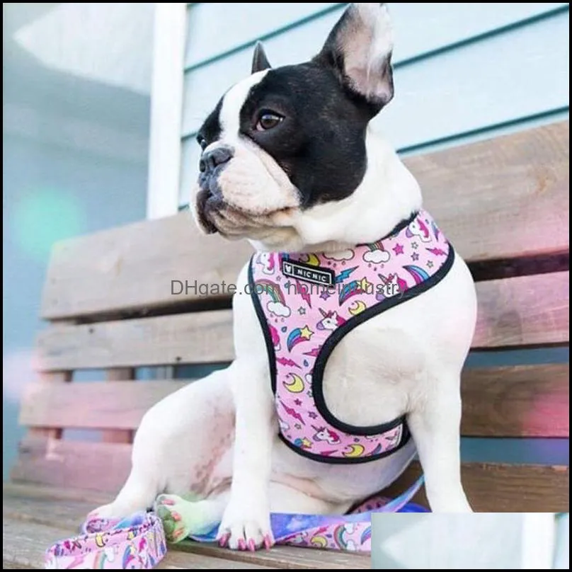 Dog Vest Harness No Pull Soft Air Mesh Adjustable Dogs Harnesses Leashes set Cute Printed Step-in Harness with Neck Padded for Small Medium Breeds Pink