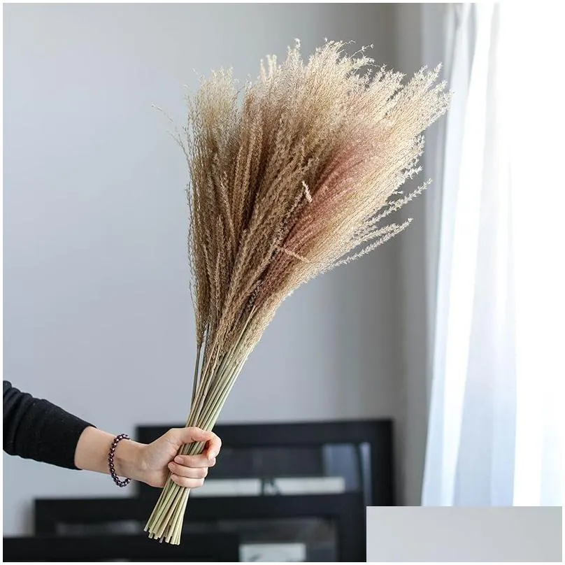 50pc natural pampas grass dried flowers reed plants for home decoration real flower wedding background layout p ography props