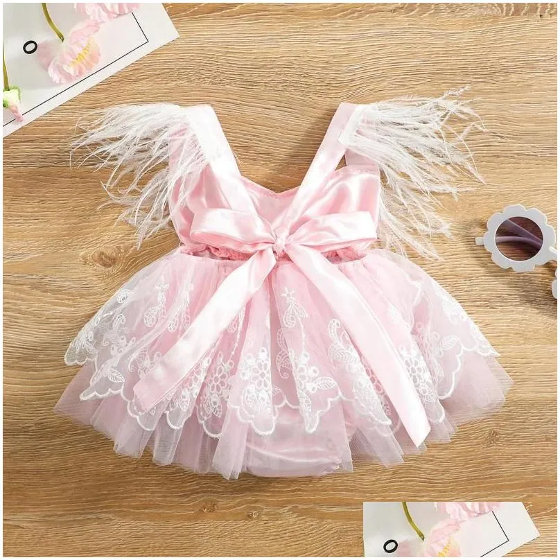 Girl Dresses Infant Baby Princess Romper Dress Cute Sleeveless Feather Tassel Lace Embroidered Tulle Tutu For Birthday Party 0-24M