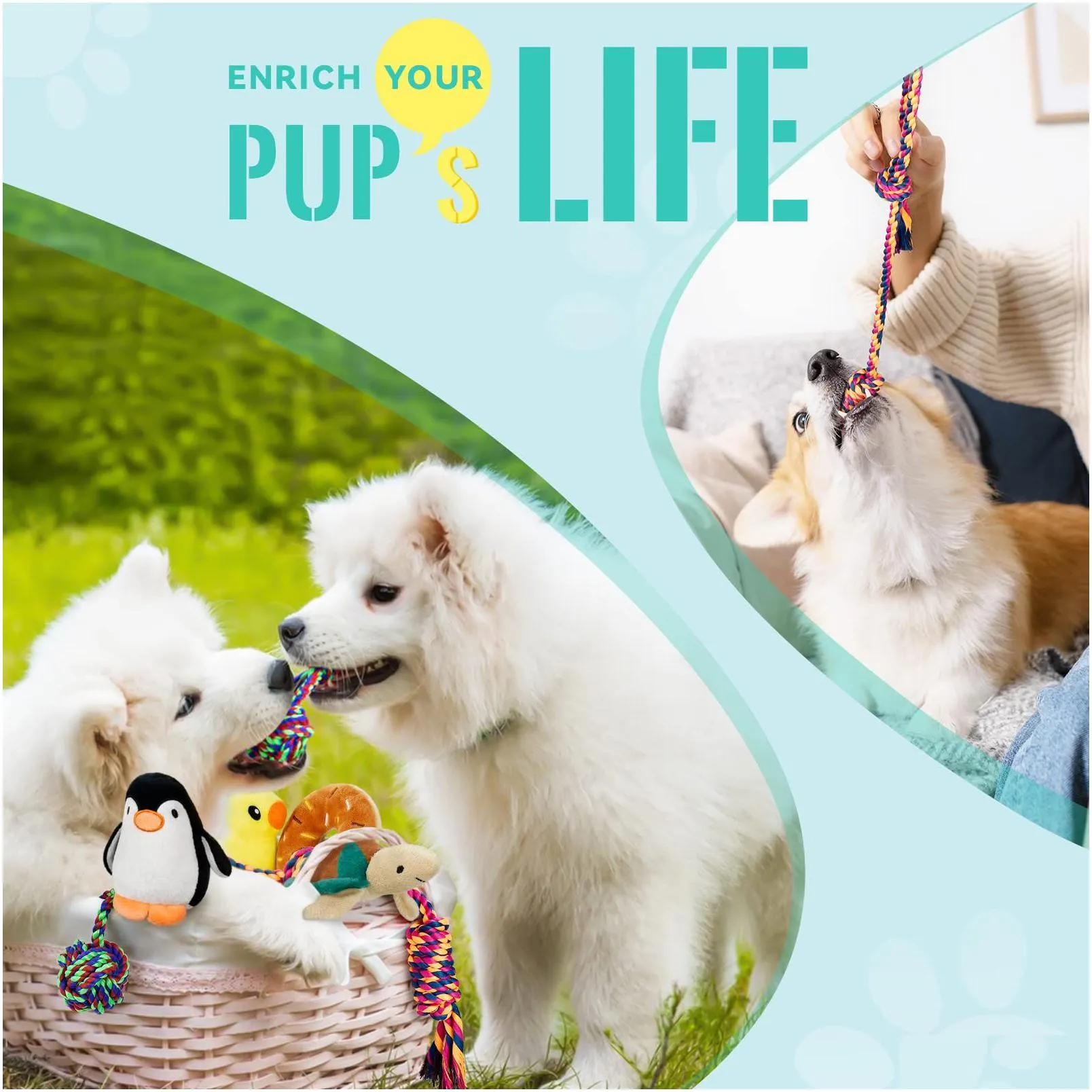 dog toys chews chew for small dogs durable rope aggressive chewers puppy teething value tug interactive puppies medium birthday toy