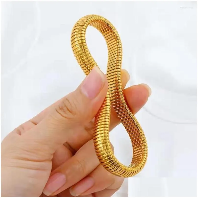 Bangle Kpop Two Laps Winding Stretch Elastic Bracelet For Women 316L Stainless Steel IP Gold Plating Charms Jewelry Gift