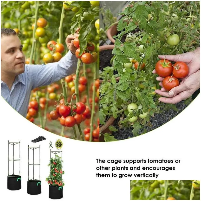 garden supplies other vegetable tomato support rack vine climbing frame holder vertical plants cage trellis flower plant pillar