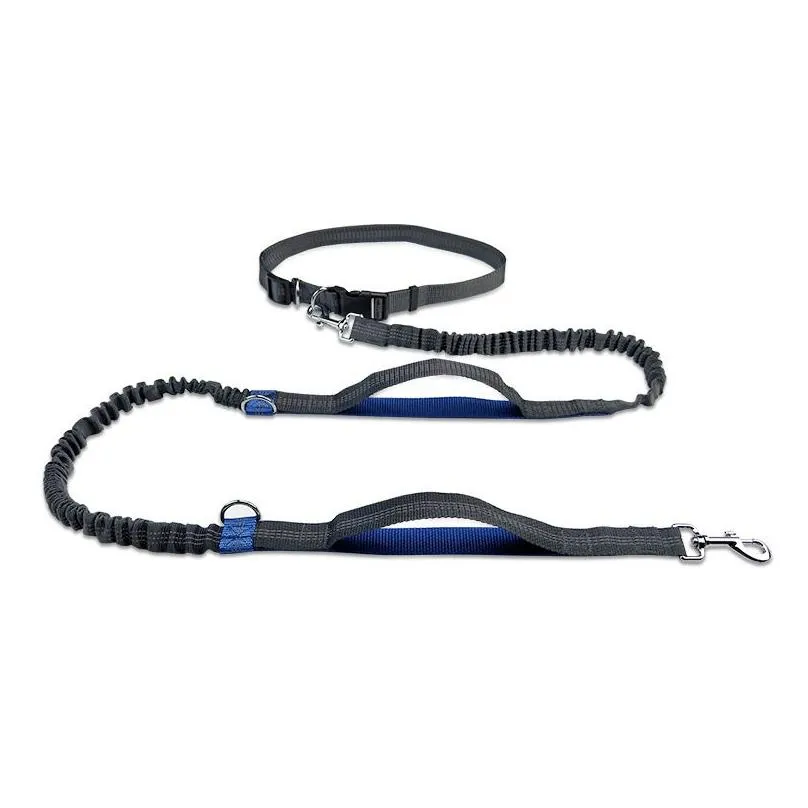 Reflect light flex dog Leashes running waist belt multifunction walk a dog leashes Collar chain Pet Dog Supplies harness drop ship