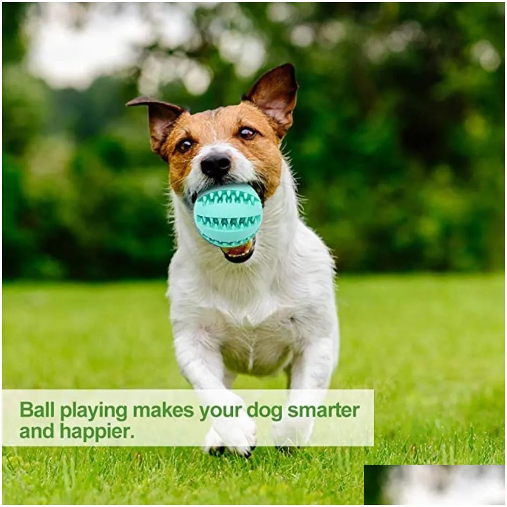 dog treat toy ball dog tooth cleaning toy interactive dog toys