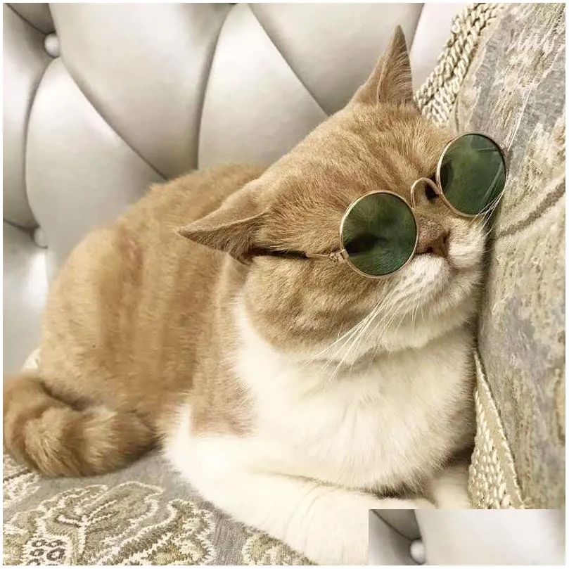 Cute Pet Dog Cat Glasses Retro Fashion Sunglasses Transparent Eye wear Cosplay Glasses Pet Photos Props Pet Supplies
