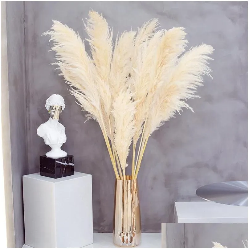 decorative flowers wreaths 80cm pampas grass large super fluffy natural dried bouquet decor cream color wedding decorations christmas