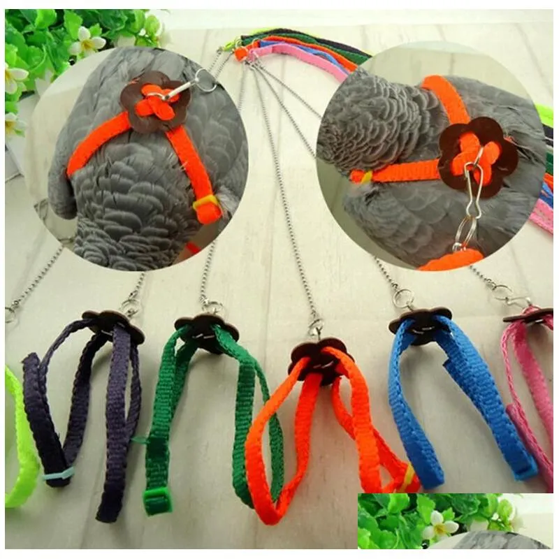 adjustable training walk bird parrot leash running cable nylon traction rope harness reptile lizard harness leash multicolor pet toy