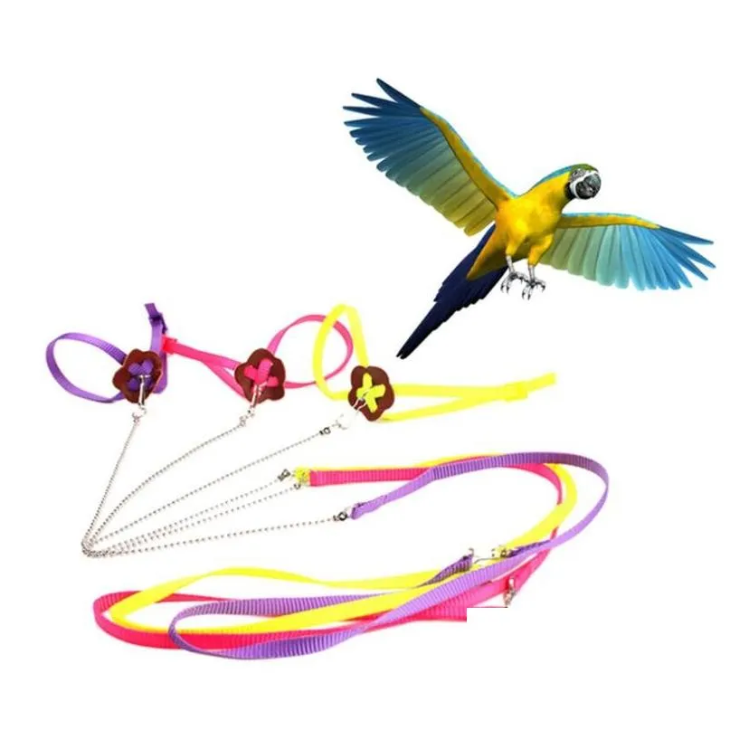 adjustable training walk bird parrot leash running cable nylon traction rope harness reptile lizard harness leash multicolor pet toy