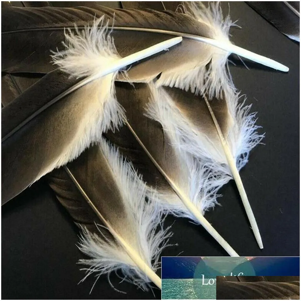 Craft Tools Holesale 10 Rare Natural  Feathers 40-45 Cm/16-18 Decoration Celebration Performance Accessories Inches Jewelry Diy Dhtcl