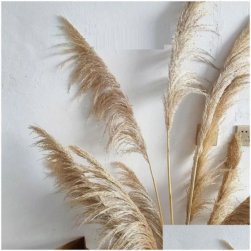 Decorative Flowers Wreaths 80Cm Nagaho Natural Reed Dried Flower Big Pampas Grass Bouquet Wedding Ceremony Decoration Modern Home D Otizf