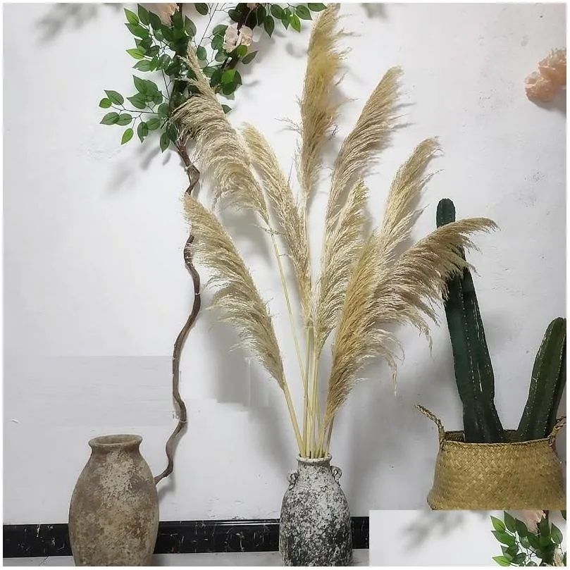 Decorative Flowers Wreaths 80Cm Nagaho Natural Reed Dried Flower Big Pampas Grass Bouquet Wedding Ceremony Decoration Modern Home D Otizf