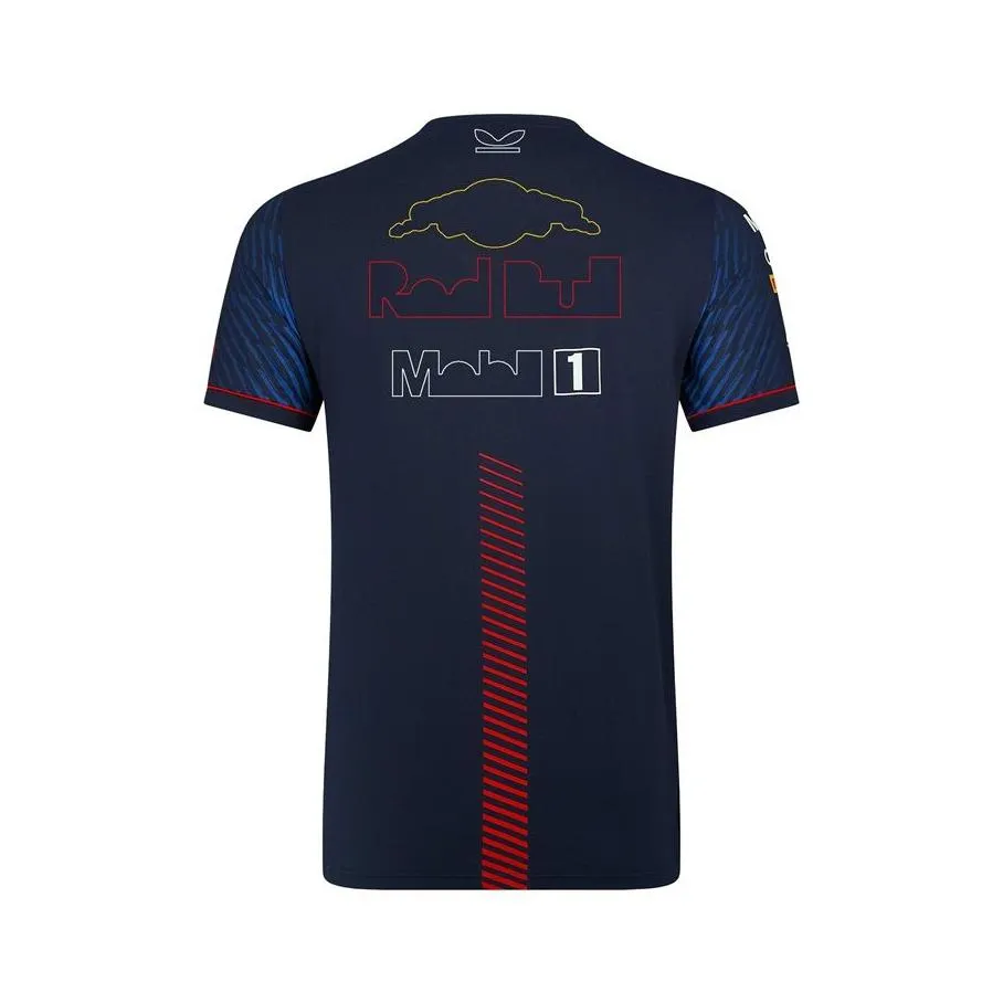 2023 F1 Team Racing T-shirt Formula 1 Driver Polo Shirts T-shirts Motorsport New Season Clothing Fans Tops Men`s Jersey Plus Size