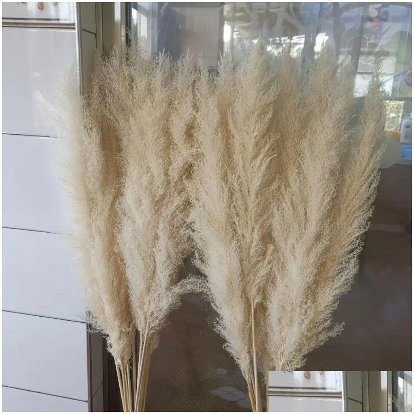 80cm nagaho natural reed dried flower big pampas grass bouquet wedding flower ceremony decoration modern home decoration1