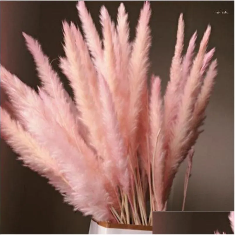 10pcs natural dried small pampas grass phragmites communis wedding flower bunch 40 to 68 cm tall for home decor1