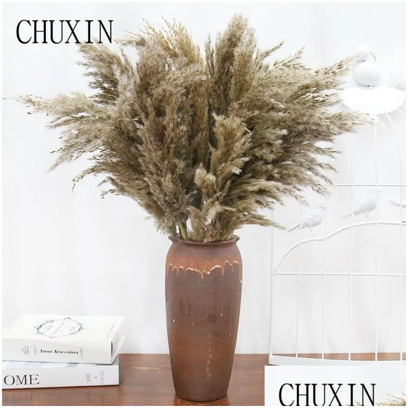 8/10/20pcs natural dried flower reed pampas grass home decor wedding decorations farm background