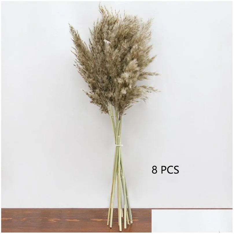 8/10/20pcs natural dried flower reed pampas grass home decor wedding decorations farm background
