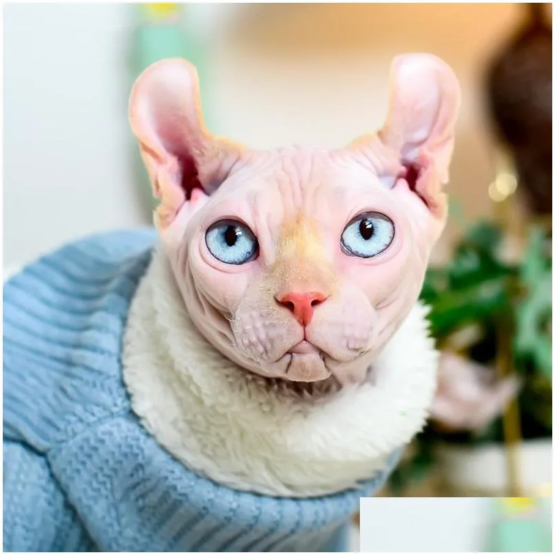 cat costumes autumn winter sphynx clothes cashmere keep warm coat for hairless classic puppy pet cats dog sweater