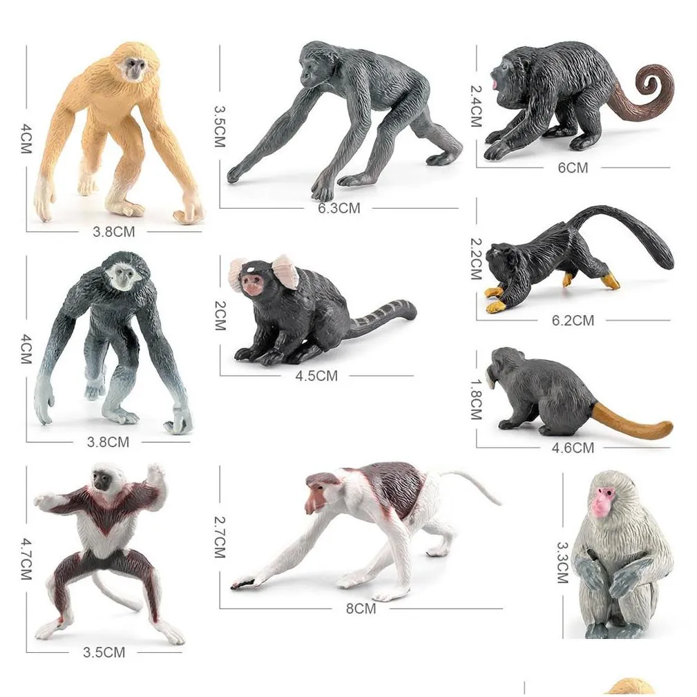 science educational primates animal action figures simulation realistic lifelike learning bath toys for kids birthday party favours