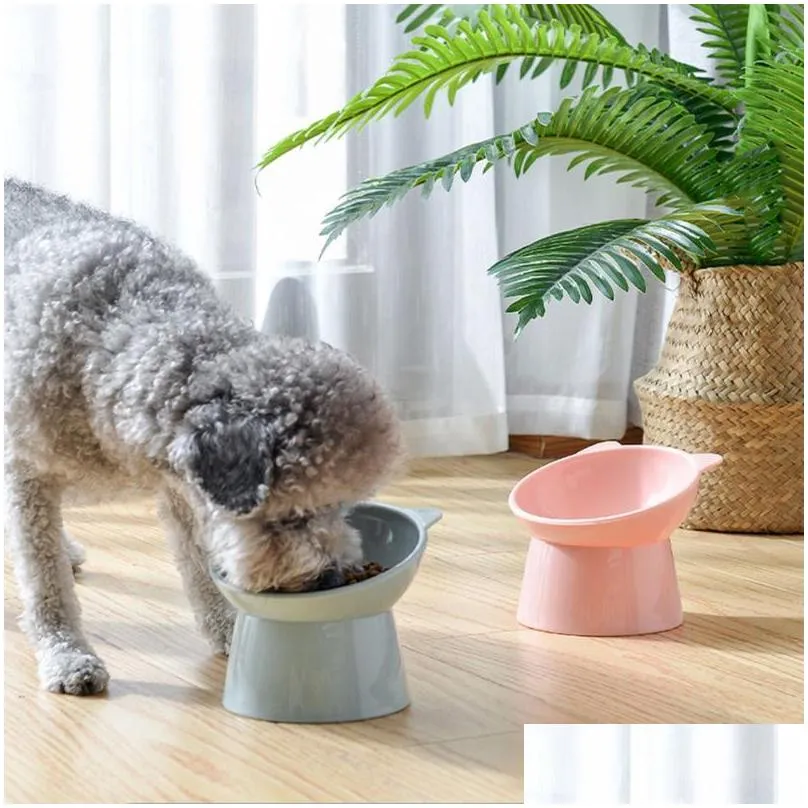 cat bowls feeders small dog bowl anti vomiting raised food tilted elevated plastic pet puppy for cats protect pets spine