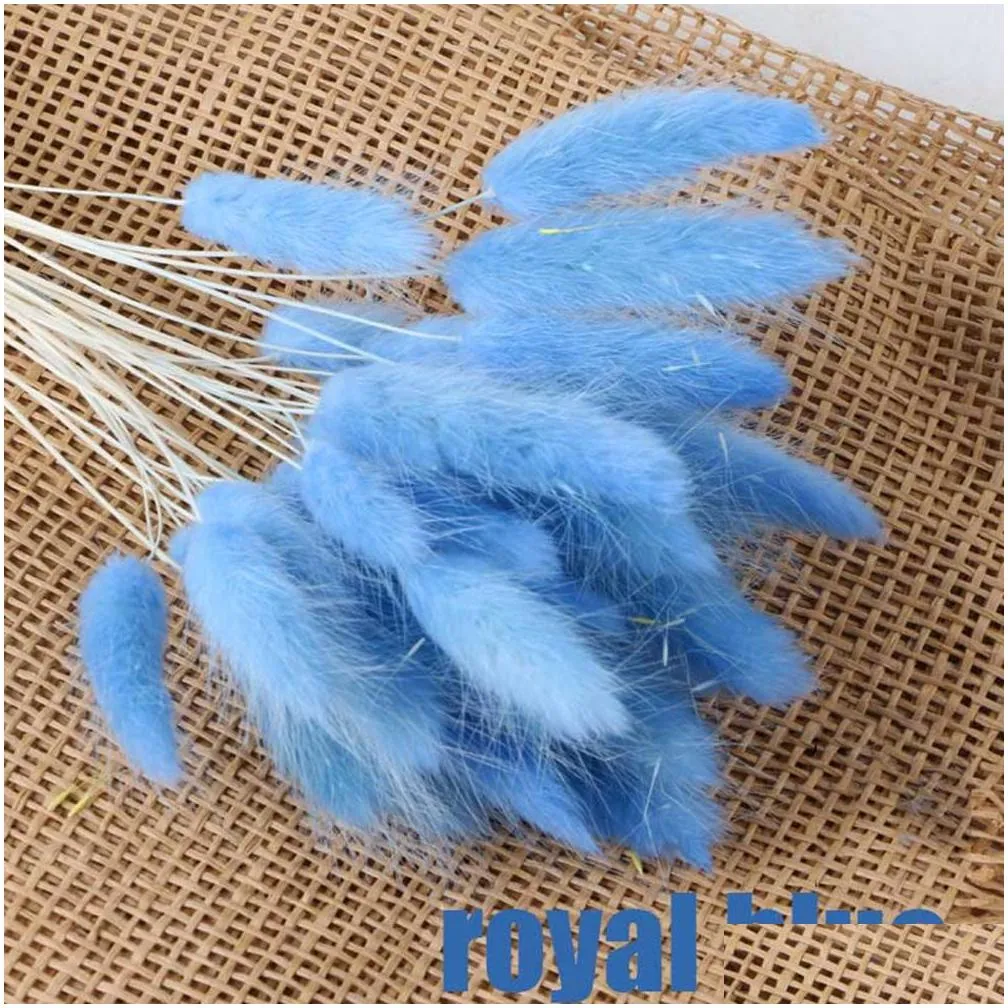 30pcs/lot lagurus ovatus natural dried flowers colorful tail grass real flower bouquet for home wedding decoration1