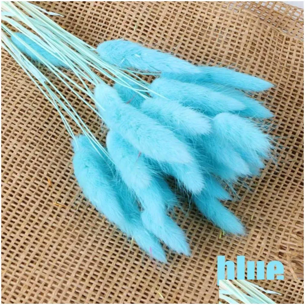 30pcs/lot lagurus ovatus natural dried flowers colorful tail grass real flower bouquet for home wedding decoration1