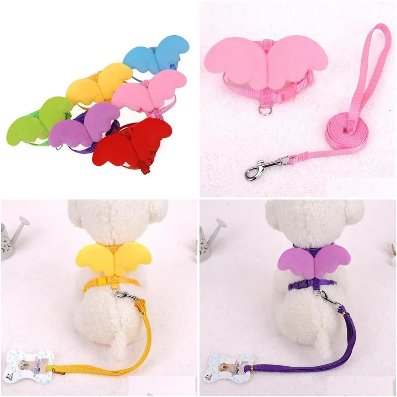 dog collars leashes arrival product cute angel pet and set puppy leads for small dogs cats adjustable xs s m