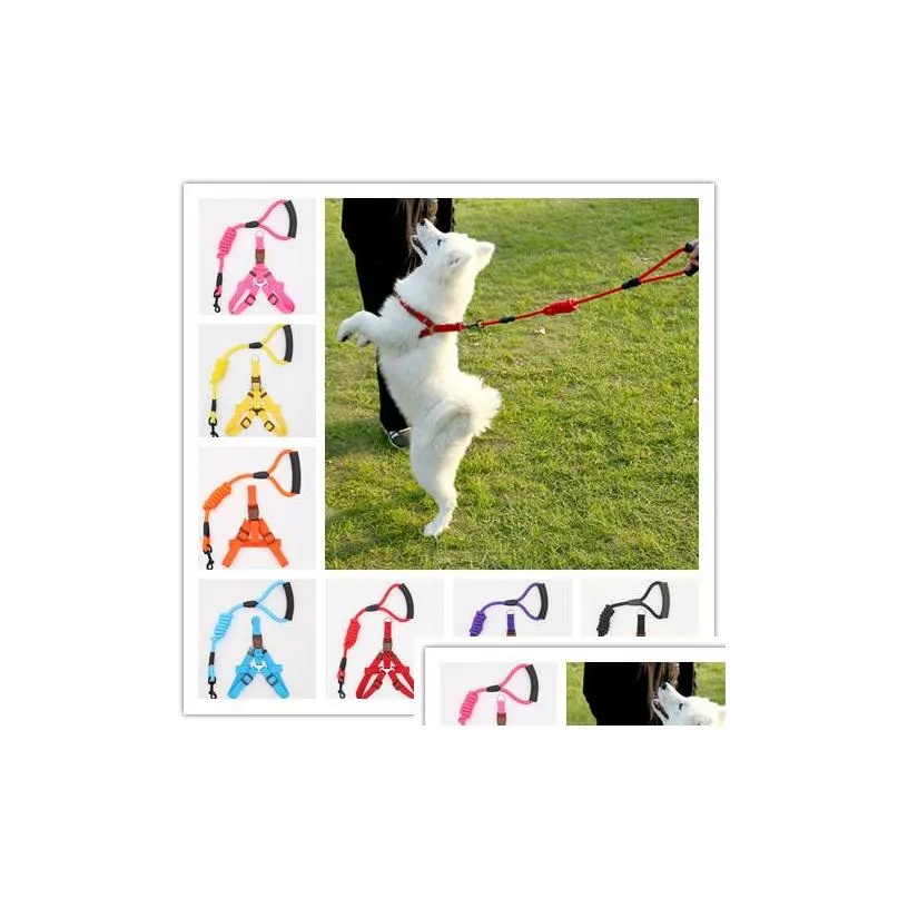 4 size pet training leash collar cats dogs leashes with harness durable pets traction rope s/m/l/xl