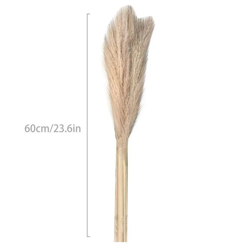 100pcs wedding flowers pampas grass large size fluffy for home christmas decor natural plants white dried flower decorative wreaths