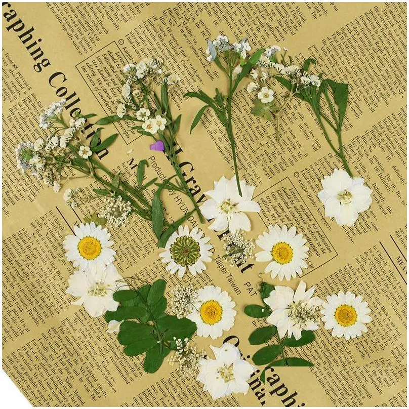 decorative flowers wreaths pressed mini dried diy scrapbooking for home wedding christmas navidad party decoration flores secas