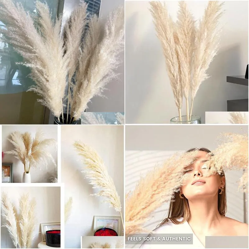 decorative flowers wreaths 80cm pampas grass large super fluffy natural dried bouquet decor cream color wedding decorations christmas