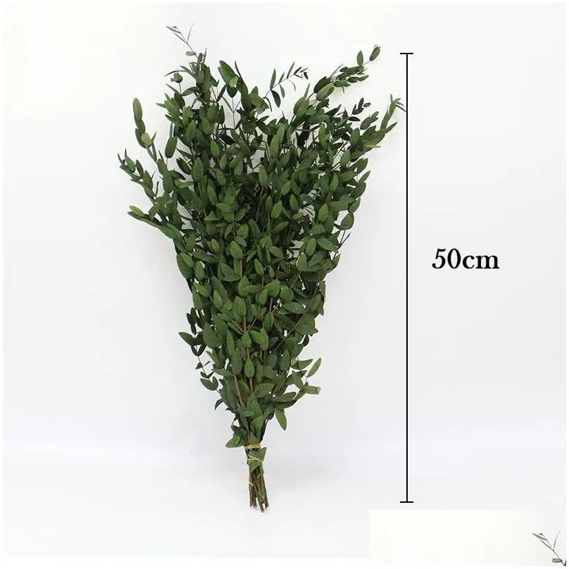 decorative flowers wreaths natural air dry real touch dried samll eucalyptus leaves wedding holiday family party home decoration flower