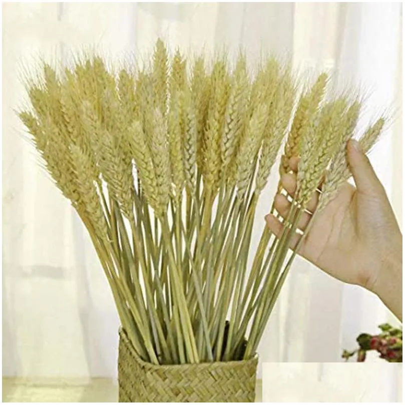 decorative flowers wreaths 100pcs/lot real wheat ear flower natural dried for wedding home party decoration diy craft scrapbook decor