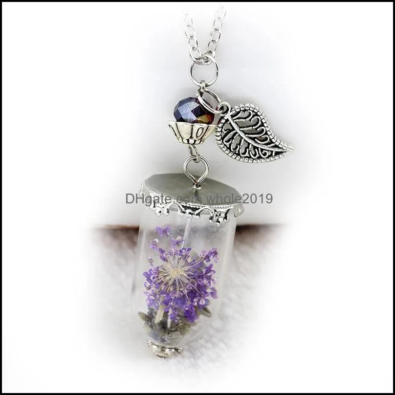 supernatural angel wing leaf rock salt bottle protection glass real dry flower bottle necklace