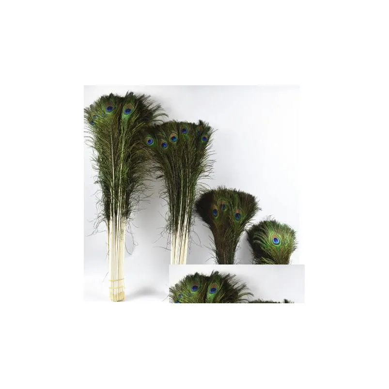 party decoration natural real peacock feathers for crafts 2580cm dress is with home hotel decor room vase