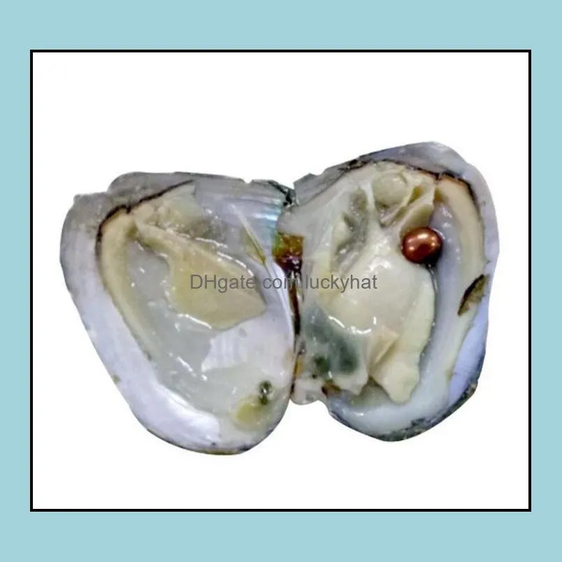 wholesale oysters with dyed natural pearls inside oysters open at home pearl oysters in vacuum packaging